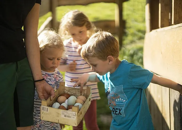 Appartement Gerwenshof Schmallenberg