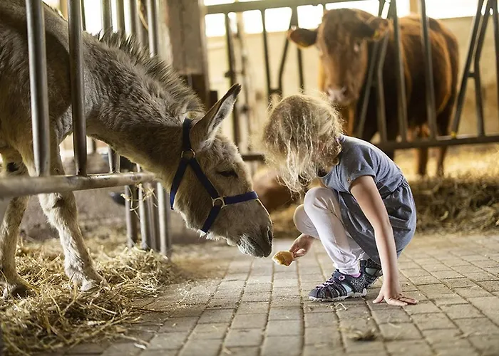 Gerwenshof Appartement *